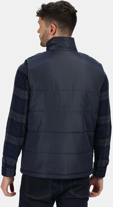 Actual product image Regatta Standout vest (M)