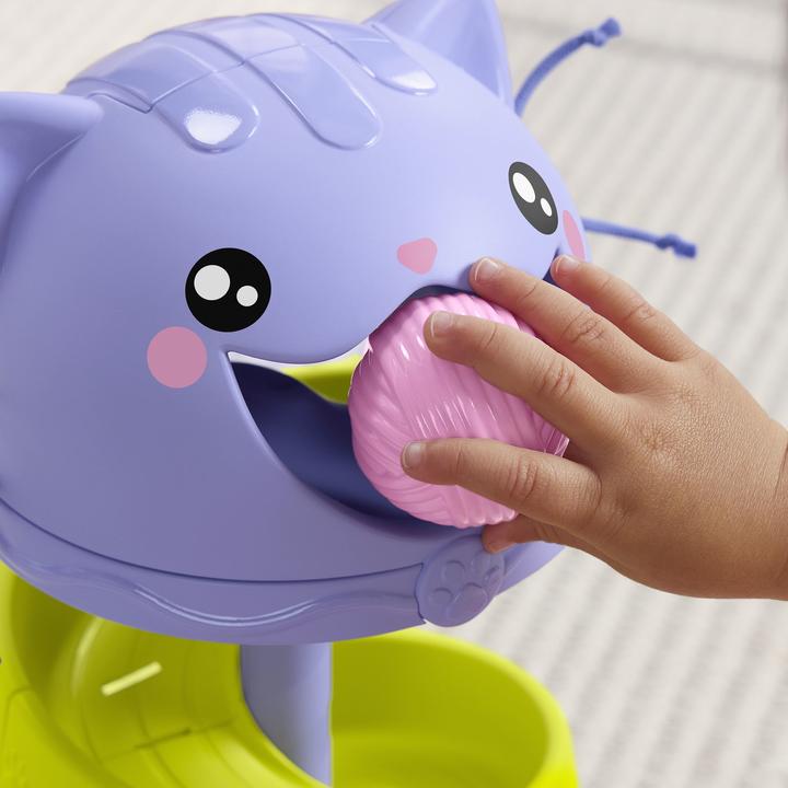 Image du produit Fisher-Price FP Pets Tour de balle parfaite Jouets éducatifs pour bébés et jeunes enfants