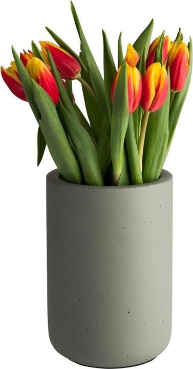 Actual product image APS Flaschenkühler "ELEMENT"