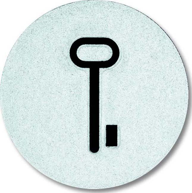 Produktbild Busch-Jaeger Abtastbares Symbol Schlüssel 2CKA001714A0297