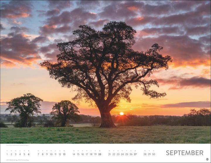 Actual product image Orte der Kraft Posterkalender 2026 (44 x 34 cm, Hardcover, German)