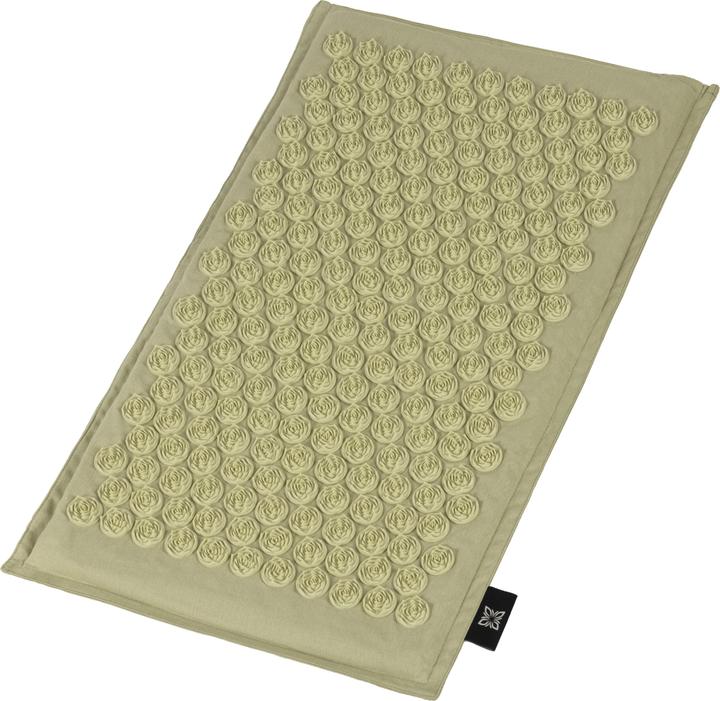 Actual product image Omnana CACTUSX accupressure mat