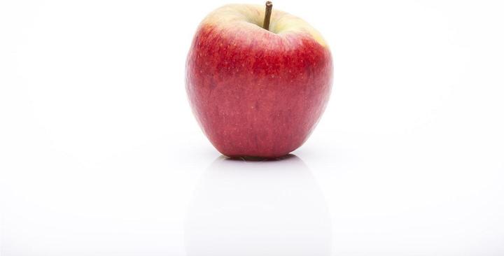 Rondo crab apple (100 cm)