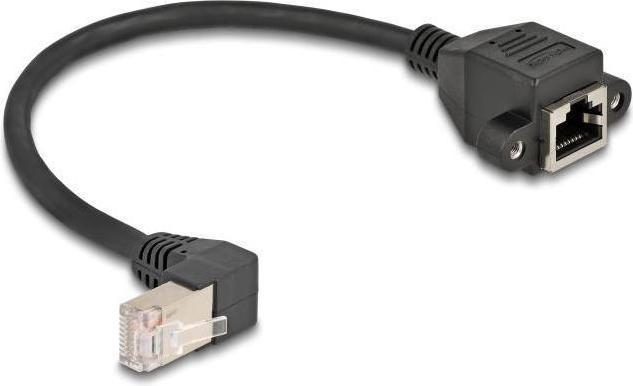 Image du produit Delock Rallonge réseau S/FTP mâle RJ45 mâle (S/FTP, CAT6a, 0.25 m)