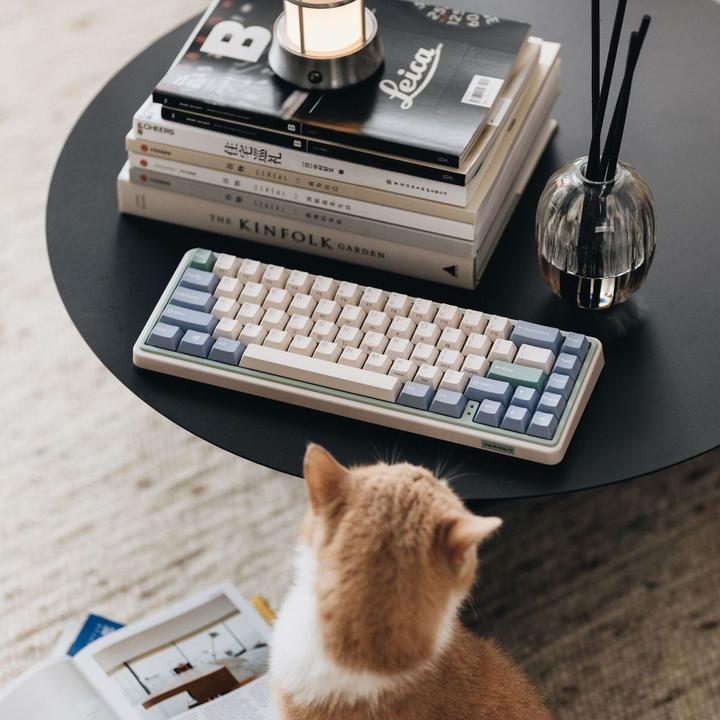 Actual product image Varmilo Minilo VXT67 Eucalyptus (US, Wireless, Cable)