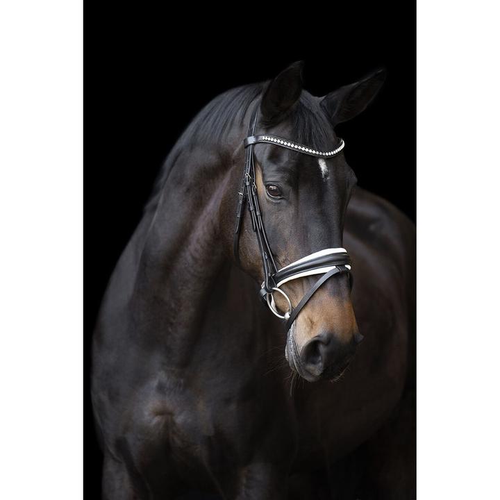 Immagine prodotto Imperial Riding Fria