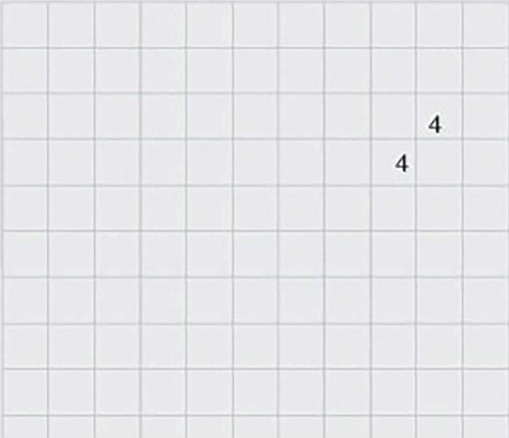 Actual product image Ingold-Biwa Exercise book (A4, Checked)