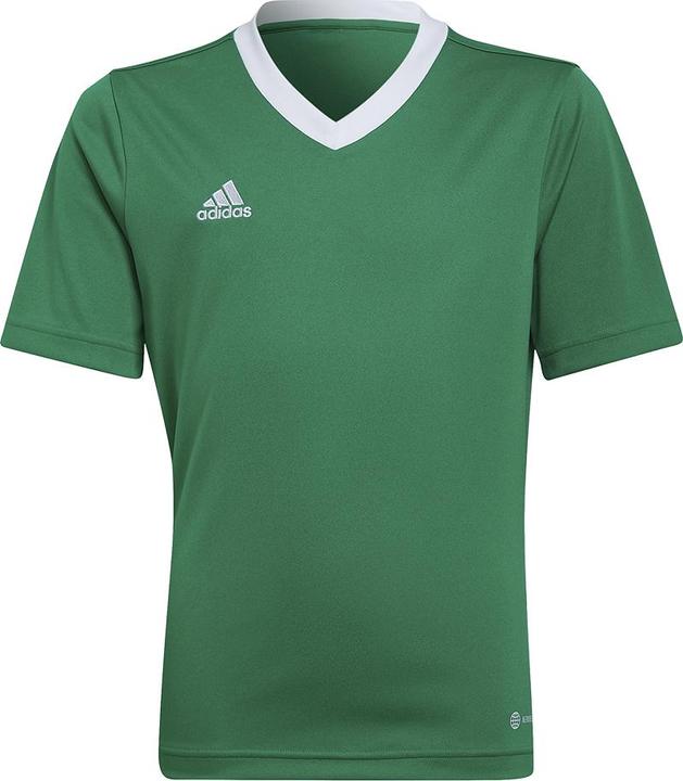 Produktbild adidas Entrada 22 Trikot (164)