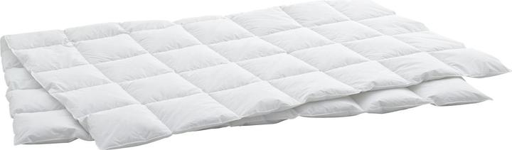 Immagine prodotto Billerbeck Edition Thea Clima Superlight (360 g, 200 x 210 cm)