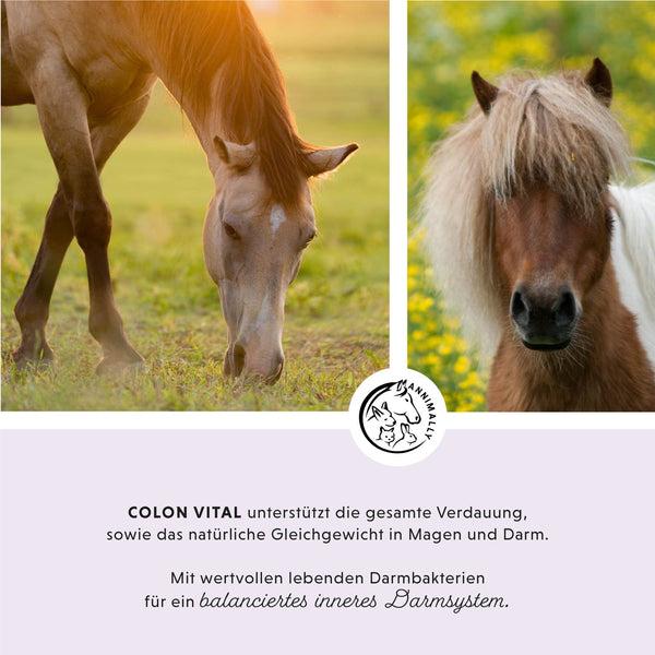 Immagine prodotto Annimally Polvere di Colon Vital (750 g)