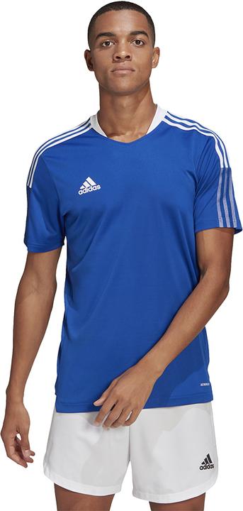 Actual product image adidas Tiro 21 Training Jersey (M)