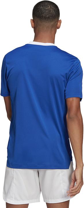 Actual product image adidas Tiro 21 Training Jersey (M)