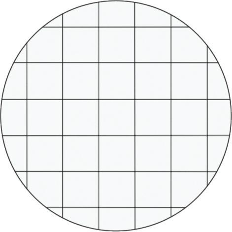 Immagine prodotto Leitz Wow (A4, Quadretti, Copertina rigida)