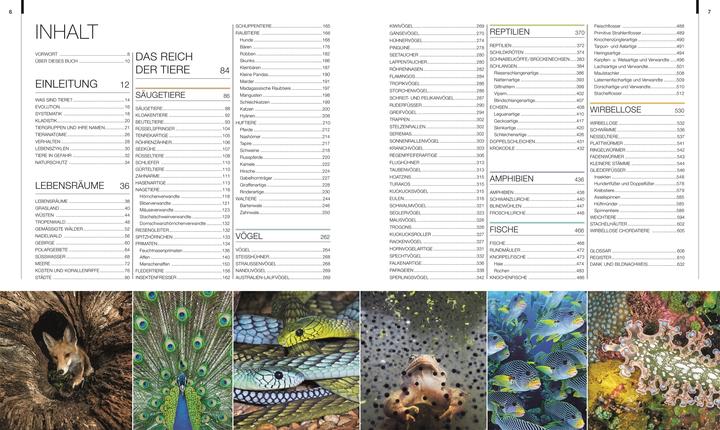 Produktbild Tiere (Deutsch, DK Verlag, Christiane Gsänger, Andreas Held, David Burnie, Dr. Gabriele Lehari, 2024)