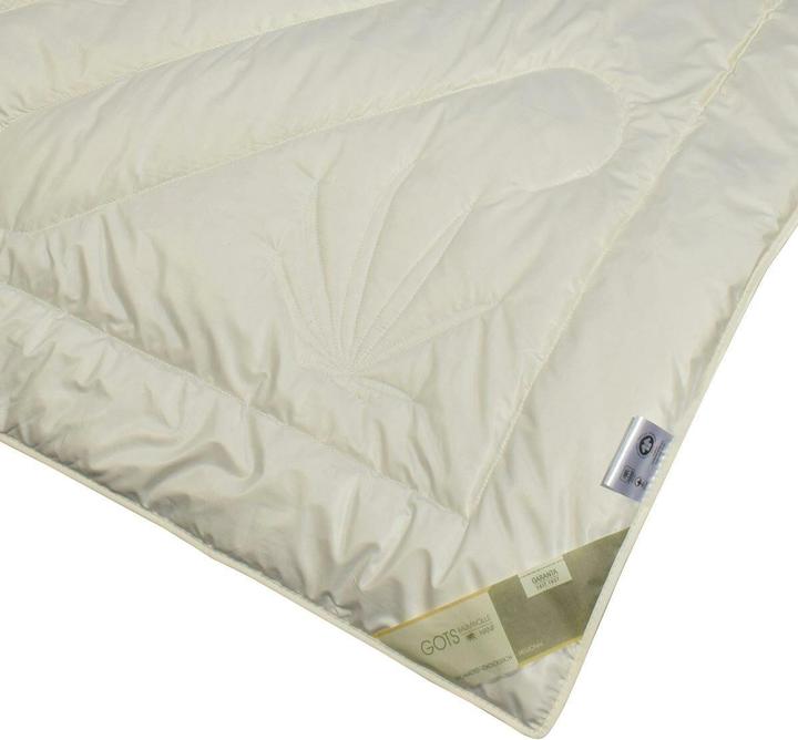 Produktbild Traumschlaf Bio Hanf (1550 g, 240 x 220 cm)