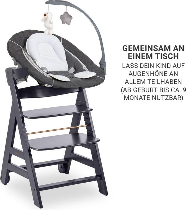 Image du produit Hauck Chaise haute Beta Plus Dark Grey 5-pièces Newborn Set - Chaise haute (Chaise haute)