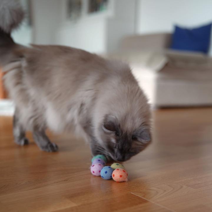 Actual product image LucyBalu RAINBOW EGGS Katzenbälle (Catmint toy)
