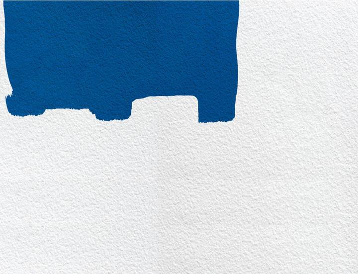 Image du produit Renovator Paint Runner Pro (26 cm)