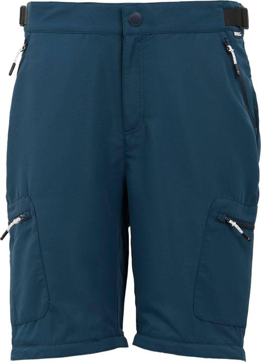 Actual product image Regatta Mens Leesville III Zip-Off Hiking Trousers (42)