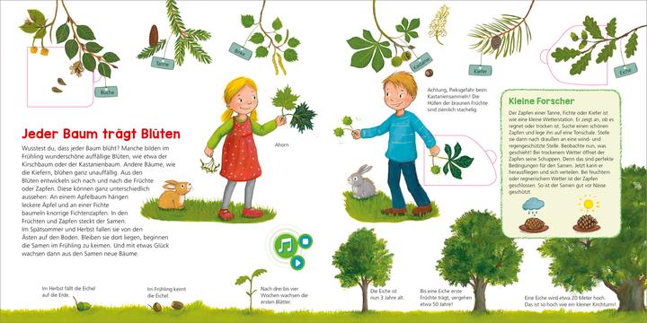 Produktbild Bookii WAS IST WAS Kindergarten Entdecke den Wald (Deutsch, Johann Steinstraat, Andrea Weller-Essers, 2018)