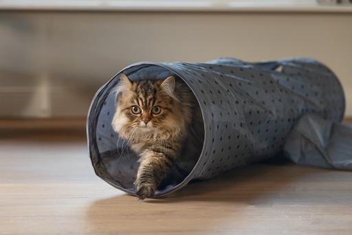 Actual product image Beeztees Katzentunnel Ivy