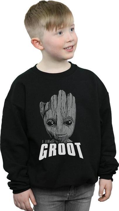 Produktbild Guardians Of The Galaxy Groot Face Sweatshirt Jungen (152, 158)