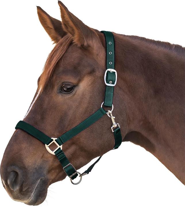Waldhausen Satin Halfter für Ponys