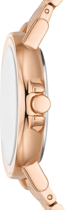 Produktbild Skagen Signatur Lille Sport (34 mm)
