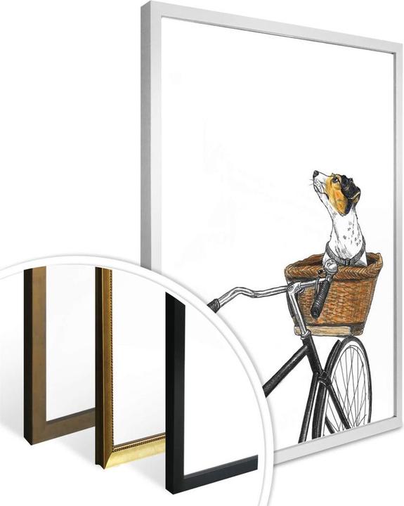 Produktbild Trenddeko Hund im Korb (100 x 120 cm)