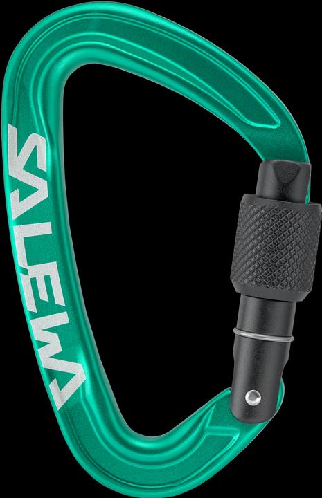 Image du produit Salewa Ortles Screw Carabiner