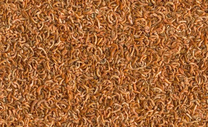 Immagine prodotto Tetra Gammarus 1l (1 x, 1 kg)