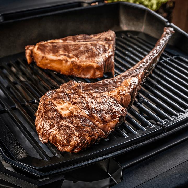 Immagine prodotto Weber Pulse 2000 con supporto (2.20 kW)