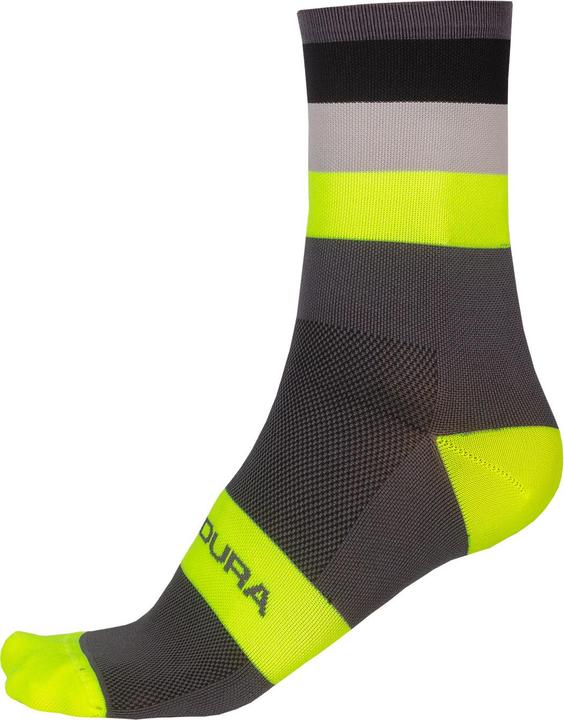 Produktbild Endura Bandwidth Streifensocken (37 - 42)