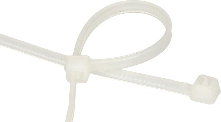 Actual product image Max Hauri Cable tie (Plastic cable ties, 100 mm, 100 pcs.)