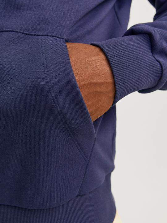 Actual product image Jack & Jones Jjecaleb Varsity Sweat Hood Noos (M)