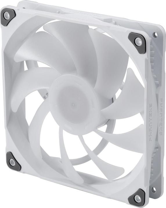 Actual product image Phanteks M25 PWM D-RGB fan, 3-pack - 140mm, white (140 mm, 3 x)