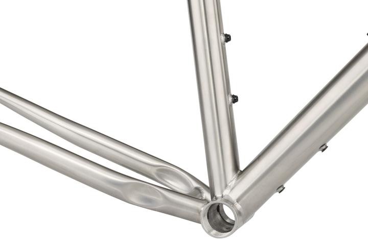 Image du produit Salsa Jeu de cadres Fargo Ti, 29", L, titane