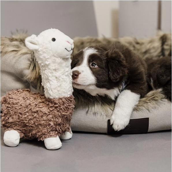 Produktbild Kentucky Dogwear Hundespielzeug Alpaka Alfredo (Plüschspielzeug)