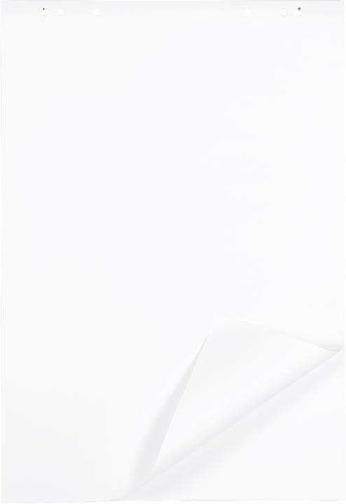 Image du produit Schäfer Shop Bloc pour flipchart, 80 g/m