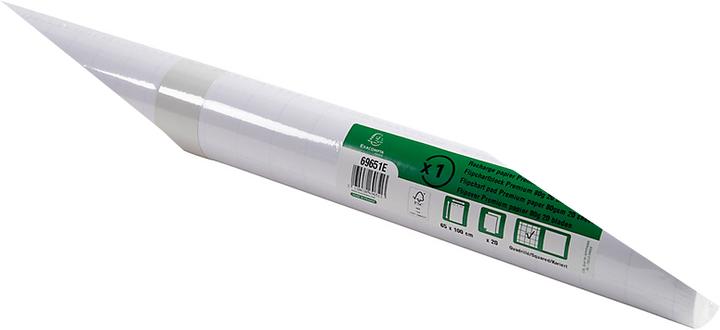 Image du produit Exacompta Papier flipchart, L 650 x H 1000 mm, quadrillé ou vierge, papier sans bois, 80 g/m², w...