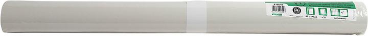 Image du produit Exacompta Papier pour flipchart, L 650 x H 1000 mm, quadrillé ou blanc, Ange Bleu, papier recyclé...