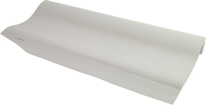 Image du produit Exacompta Papier pour flipchart, L 650 x H 1000 mm, quadrillé ou blanc, Ange Bleu, papier recyclé...
