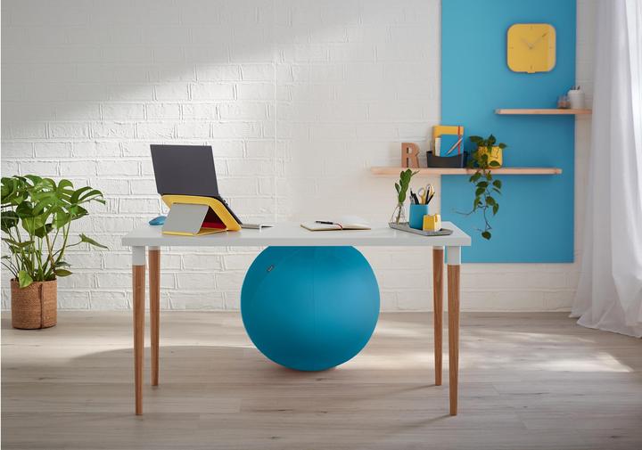 Actual product image Leitz Ergo Cosy Active sitting ball (65 cm)