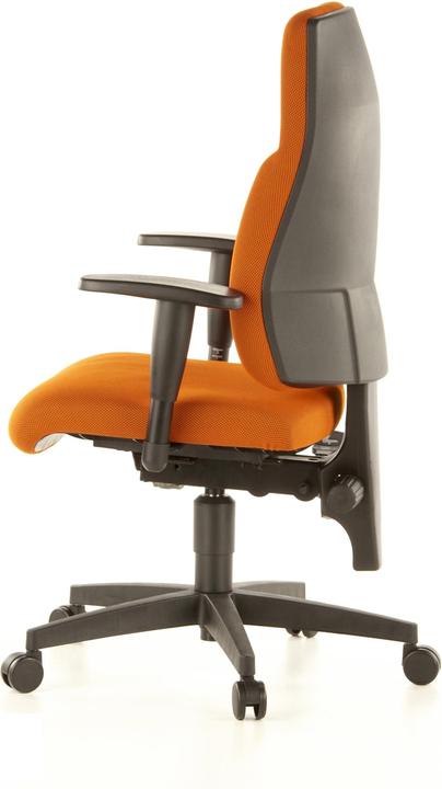 Immagine prodotto Topstar Lady Sitness