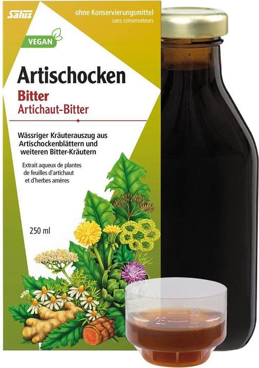 Produktbild Salus Artischocken-Bitter (1 Stück, Flüssigkeit, 606 g)