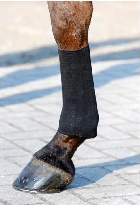 Actual product image Kentucky Horsewear Bandage sock Tendon Grip Gel