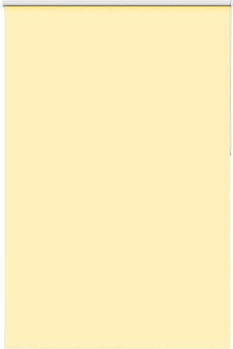 Giallo