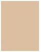 Image du produit The Balm Mary-Lou Manizer (Beige)