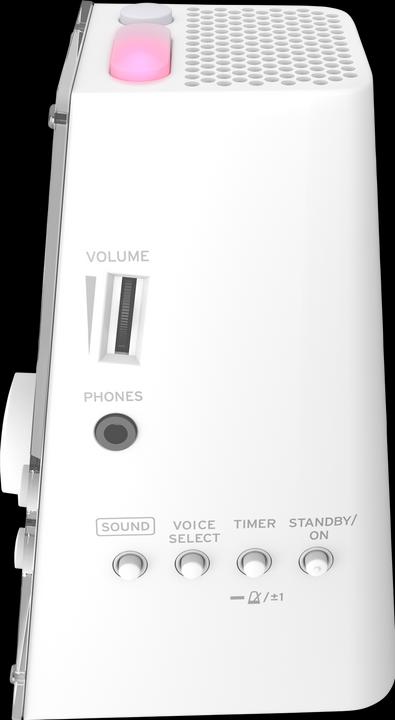 Actual product image Korg Metronome