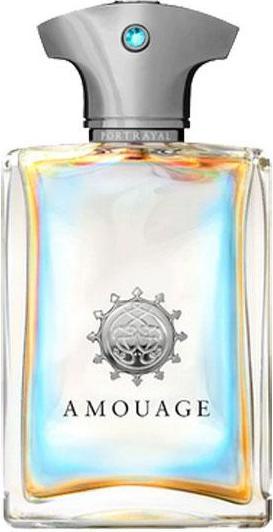 Image du produit Amouage Portrayal Man - EDP - Volume : 100 ml (Eau de parfum, 100 ml)